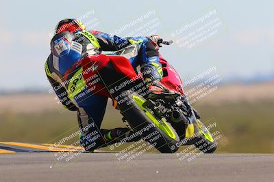 media/Oct-09-2022-SoCal Trackdays (Sun) [[95640aeeb6]]/Turn 9 Backside (120pm)/